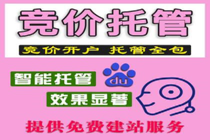 某电商平台的SEM推广策略分析